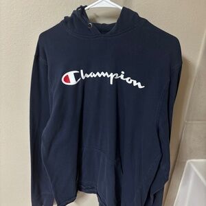 men’s champion hoodie
